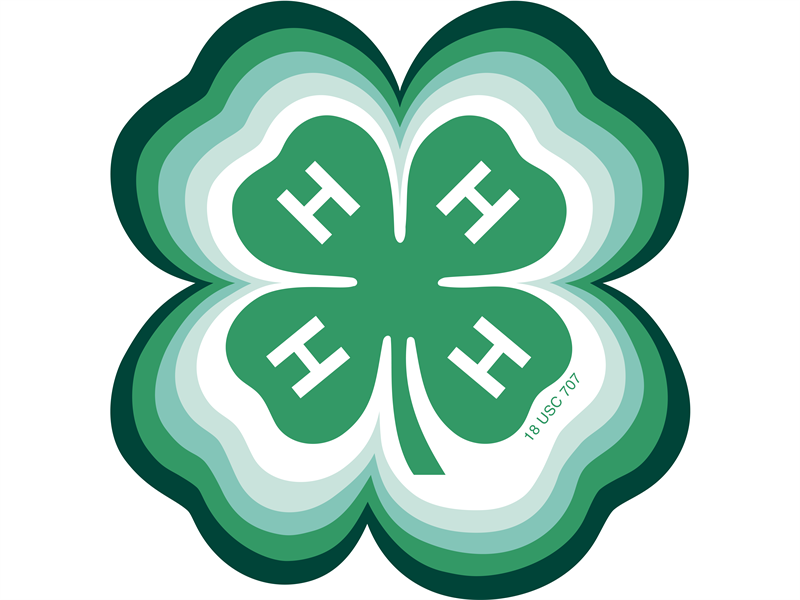 Fair Logo